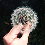 在线短信轰炸软件